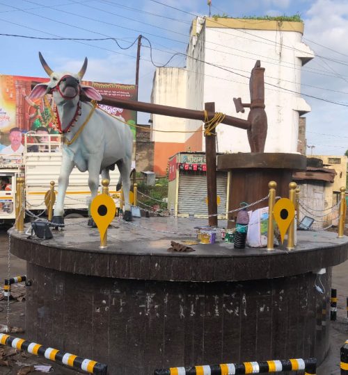 FRP Animal Statue Manufacturer